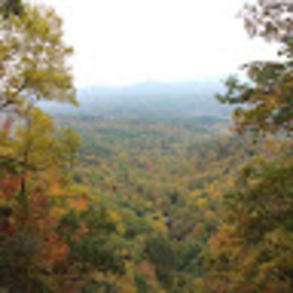 Meet your Posher, Joi - Picture 1 of 1